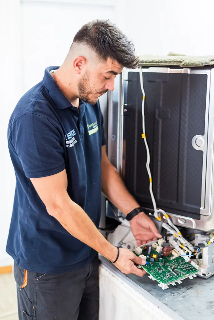 Riparazione Aeg Napoli